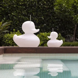 Luce notturna papera galleggiante