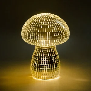 Luce notturna fungo da discoteca